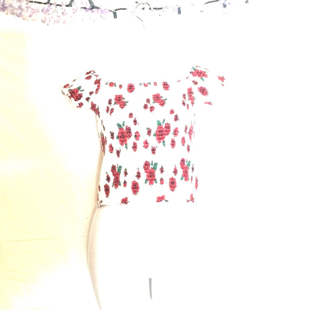 Hollister Red Floral Crop Top